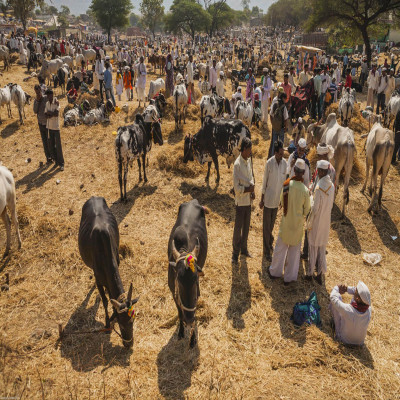 Kundri Mela Sightseeing